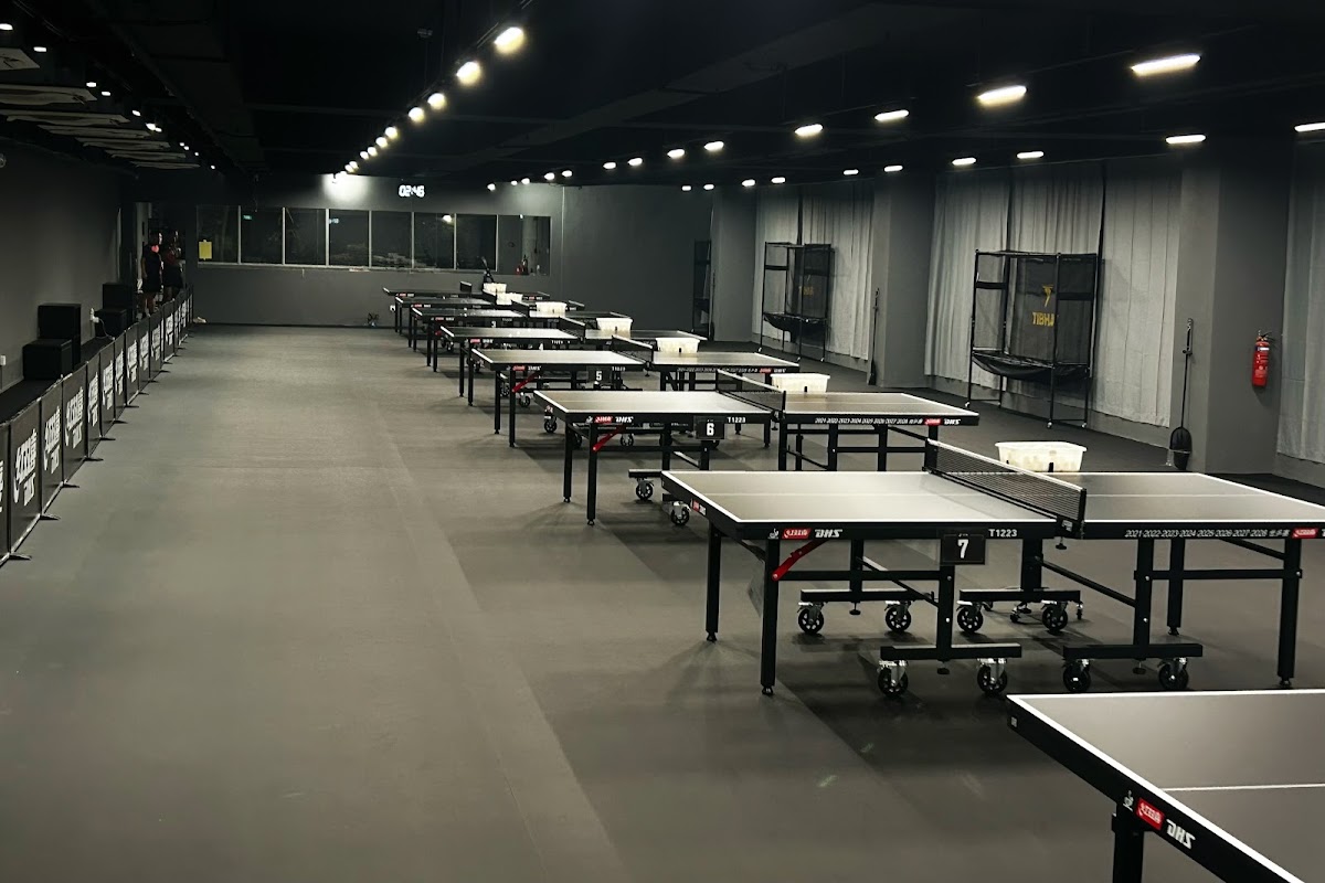 Elite table tennis Academy Singapore photo 1