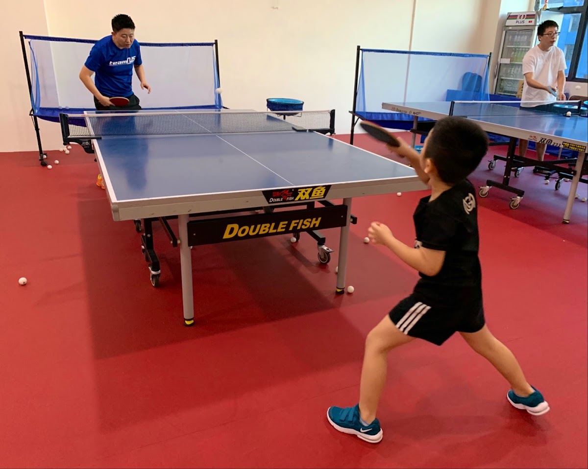 MG Sports Table Tennis photo 1