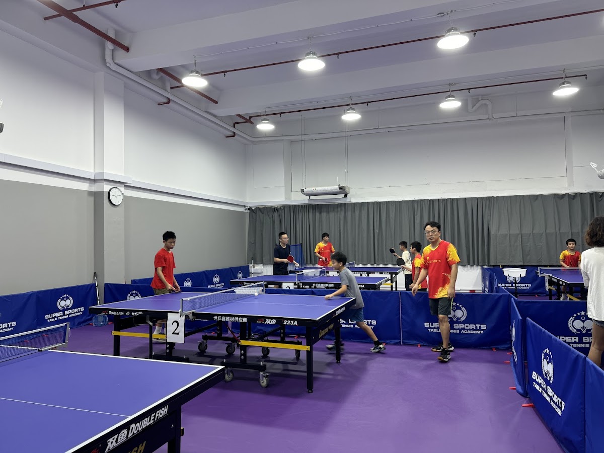 Super Sports Table Tennis Academy photo 1